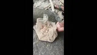 Homemade fish food making# video
