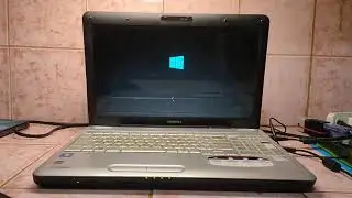 Windows 7 to Windows 10 OS Upgrade with new 320GB HDD (Toshiba)