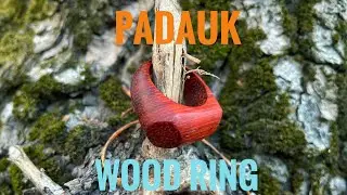Padauk Wood Ring #woodworking #diy #handmade