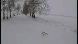 Бывает же. Охота на зайца в метель.