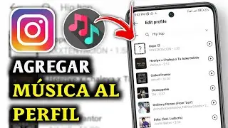 Cómo añadir música a tu perfil de Instagram Pon una canción en tu perfil de Instagram(guía completa)
