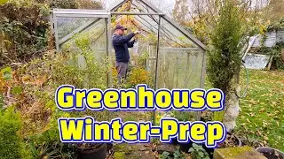 Winter Prep: Transforming My Greenhouse for Cosy Plant Care!