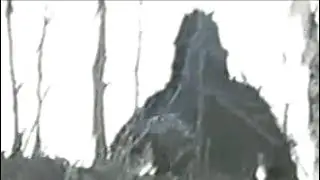 FIRST BIGFOOT FOOTAGE CAUGHT ON CAMERA