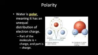 Video Lecture: 3-2 Water and Polarity