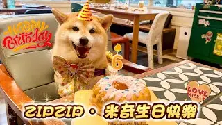【寵物好去處】可能是全香港最好吃的寵物友善餐廳🍴ZIPZIP🐶肥米奇6歲生日啦🎊一家人吃蛋糕開心仔🍰 - 三條毛@DIDOW