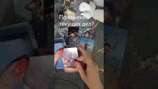 11 апреля 2024 г.