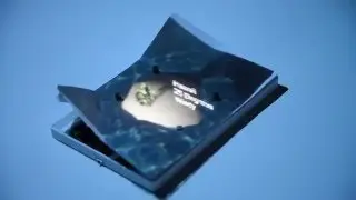 Combining Shape-Changing Interfaces and Spatial Augmented Reality Enables Extended Object Appearance