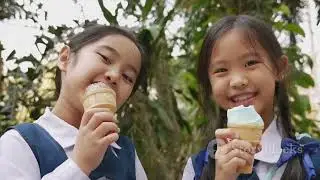 Yummi-Land: Ice Cream Pop Girls