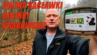 Dolina Racławki Dolinki Krakowskie