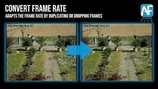 Convert Frame Rate: Adapt the Frame Rate of a Video in Amped FIVE