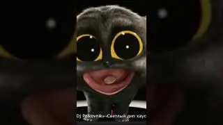 Dj Polkovnik - Tennis. Техно и знаменитый котик)