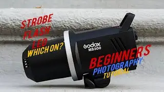 LED Light Vs. Studio Strobe Vs. Speedlite (Flashlight) | Beginner Photographers Lighting Tutorial