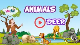 Deer Animal | Animals for Children to Learn | Learn different Animals | YOOYOO KIDS