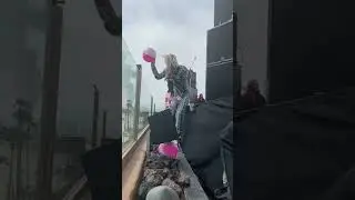 Machine Gun Kelly (Live at Venice Beach) - Full Show & HD | @nocapshows