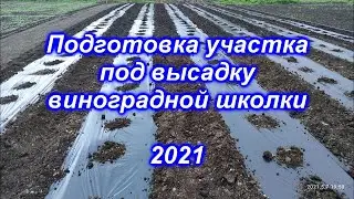 Подготовка участка под высадку виноградной школки 2021
