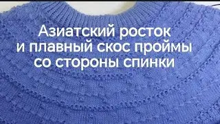Круглая кокетка азиатский 