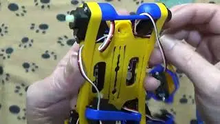 Clipboard Electronics: Petoi Bittle-X Time Lapse Build