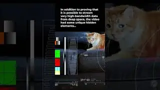 NASA Tech Demo Streams Cat Video From Deep Space Via Laser #Shorts