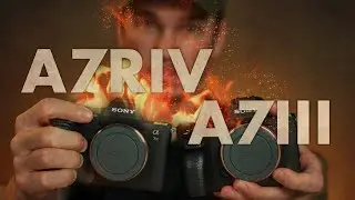 5 Reasons to Choose the A7R4 Over the A73 (and 2 Reasons Not To)