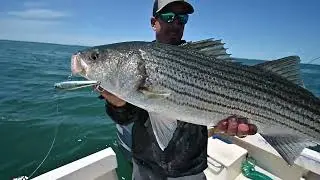 The new Yo-Zuri Hydro Monster Shot, the most versatile hard bait lure on the market