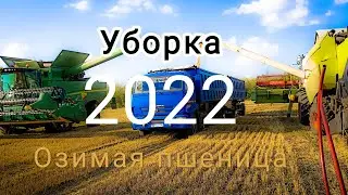 Уборка 2022, озимая пшеница, 8 июля, John Deer, Class, Torum 750, и Дон 1500Б.