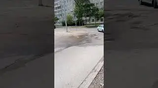 Типичный Петербург