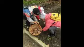Мандрівки екологічною стежкою