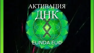 11 декабря 2021 г.