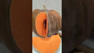 Тыква Большой Шлем. Урожай 2023 