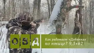 Проверяем, как работает калибр 9,3*62 Mauser по птице