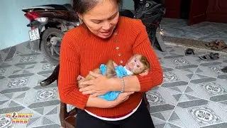 Touching Moment of Kaka the Monkey and Grandma That Will Make You Cry