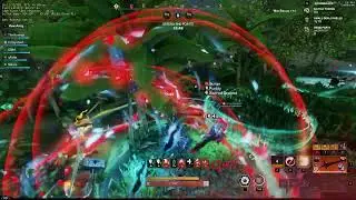 [New World] GC vs Anarchy