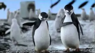 LG Elektronik Green Health Reklamı