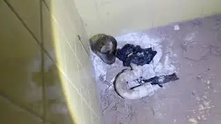 La Bodega del mal😮😮 san juan tuxco