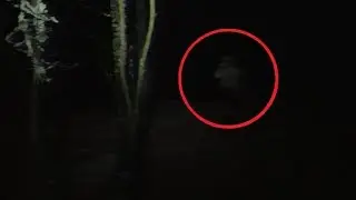 The Snowgre Chronicles Ep. 3: Hunted