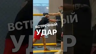 Встречные удары в боксе. 