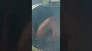 BBQ With Franklin - Smoked Turkey #shorts