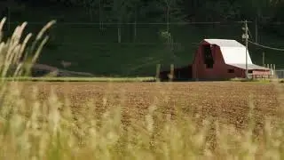 Rural Countryside farm with ambient background for Sleeping /Relaxing /  Studying Music (7 hrs)