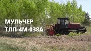 Российский мульчер ТЛП-4М-038А / Производства  завода Сибирь-Техника