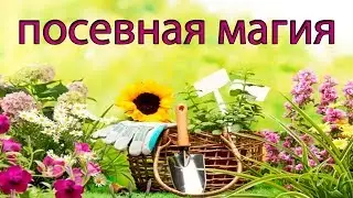 Посевная магия