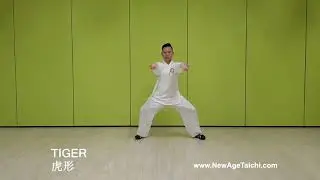 Тайцзицюань (базовый комплекс пяти элементов)