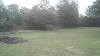 Breeze before the storm