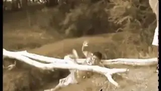 Kid Falls off of log, To Be continued