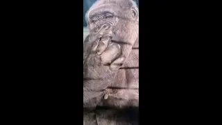 Finger Licking Crunchy Compilation!
