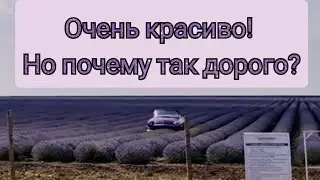 Приморское. 25.06.💥Осадок остался! Консервирую огурцы. Будет дождь?