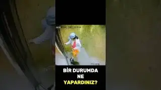 KADININ BÜYÜK HATASI!!! KÖPEK ÖLÜMDEN DÖNDÜ #reels #haber #köpek