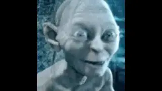 Invertebrate Cafe.MP4