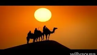 Saudi Arabia 