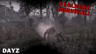 I Played The Most UNIQUE DayZ Server - StalkerZ Survival 