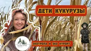 Дети кукурузы: кукурузные поля, волшебная экотропа и эко курорт! Это #мойпермскийкрай